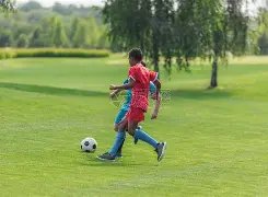 亚奥理事会,确认,年亚运会申,MG平台,MG百家乐,MG百家乐官网,MG电子登录入口,MG官方网站